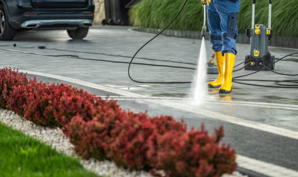Professional Pressure Washing Services in Maywood, NJ