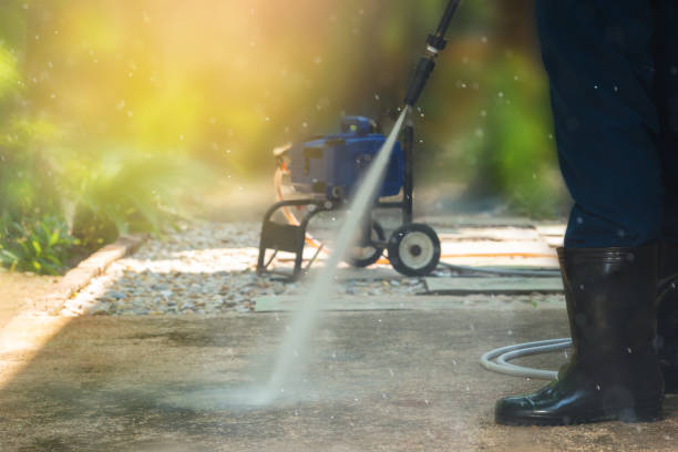 Best Driveway Pressure Washing  in Maywood, NJ